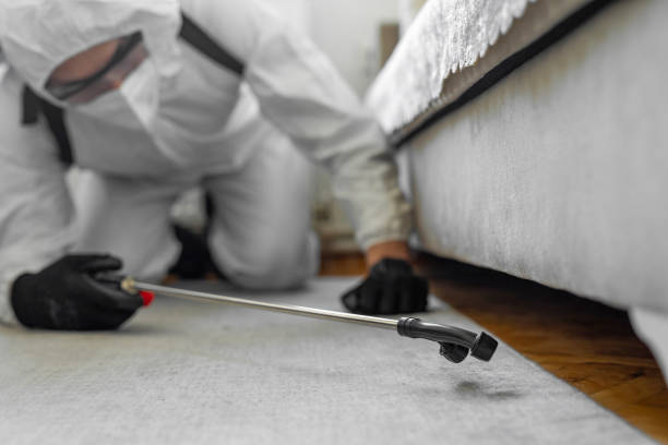 Professional Bed Bug Control technician working in McGaheysville, VA