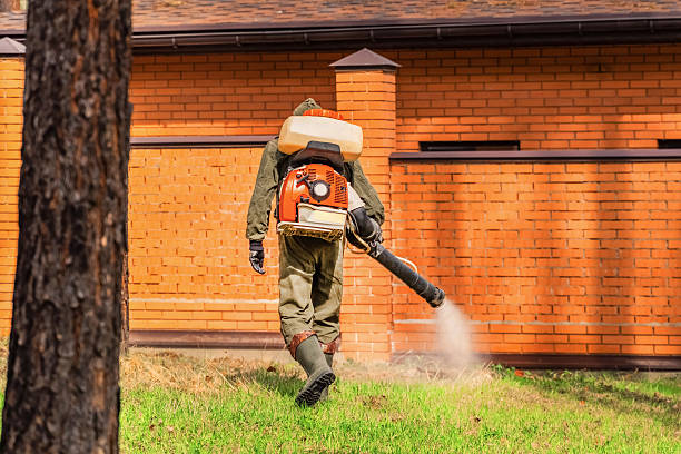 Trusted Bed Bug Control service in McGaheysville, VA - Nex Pest Control